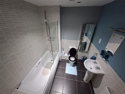 Picture 12